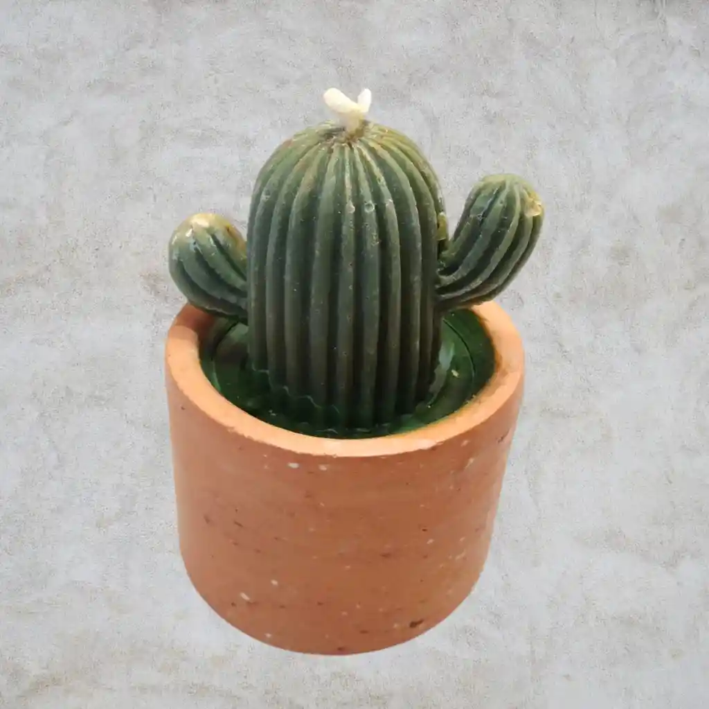 Vela Aromática Cactus