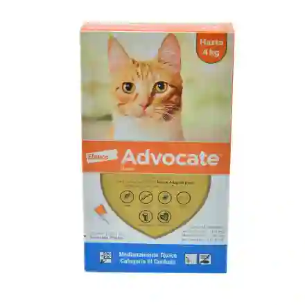 Advocate Gato Hasta 4 Kg