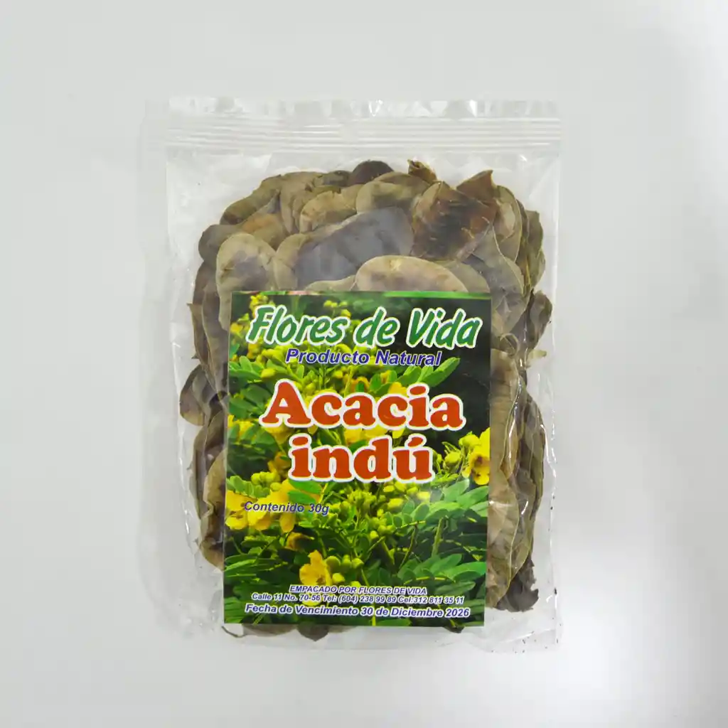 Acacia Indú