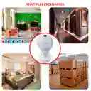 Cámara Bombillo Discreta Wifi Hd Seguridad Visión 360 Grados