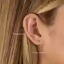 Piercing Supreme / Dorado