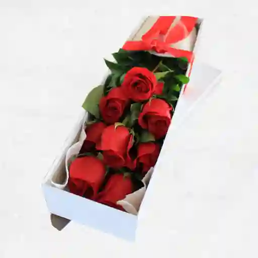 Caja 8 Rosas Rojas