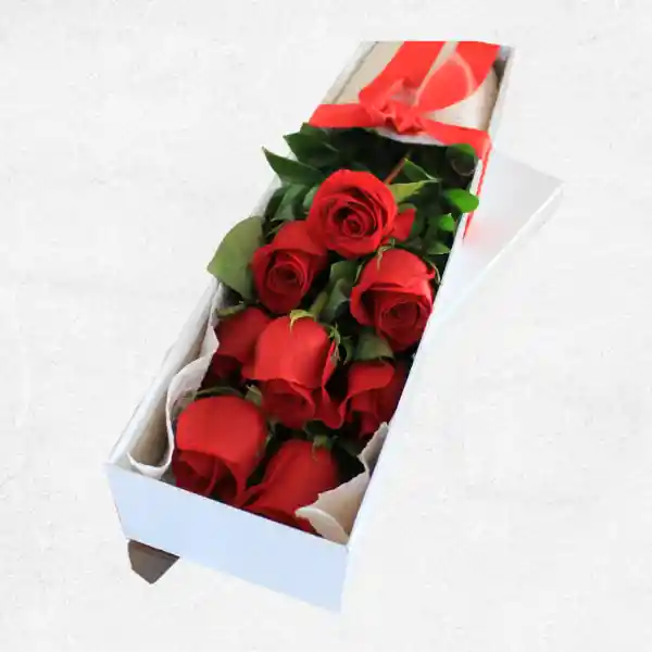 Caja 8 Rosas Rojas