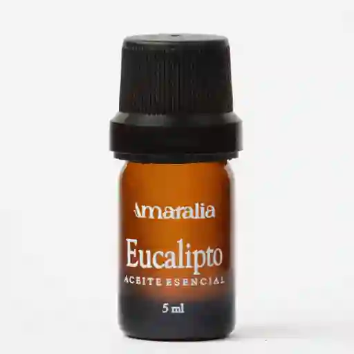 Aceite Esencial De Eucalipto