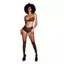 Lencería Sensual Eileen Talla S/m Mapale