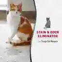 Eliminador De Manchas Y Olores Para Gatos Destructor De Olores Vomitos Diarreas Para Gatos