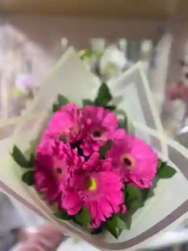 Gerberas Bouquet