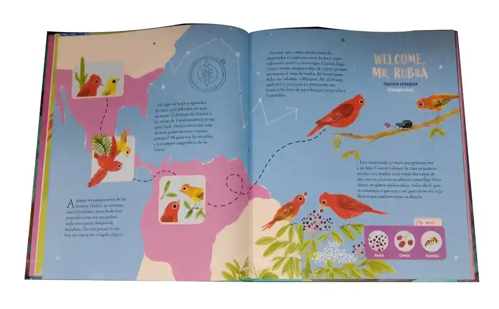 Libro Guía Secreta De Aves De Javier Cajiao Para Niños