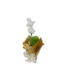 Orquídea Mini Blanca