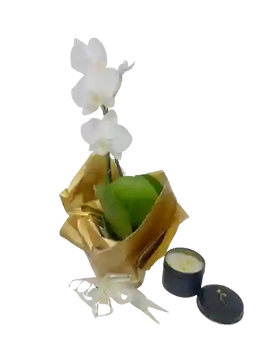 Orquídea Mini Blanca Con Vela Aromatizada