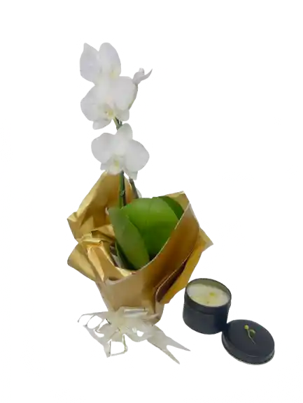 Orquídea Mini Blanca Con Vela Aromatizada