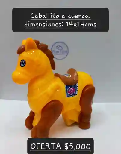 Caballo A Cuerda