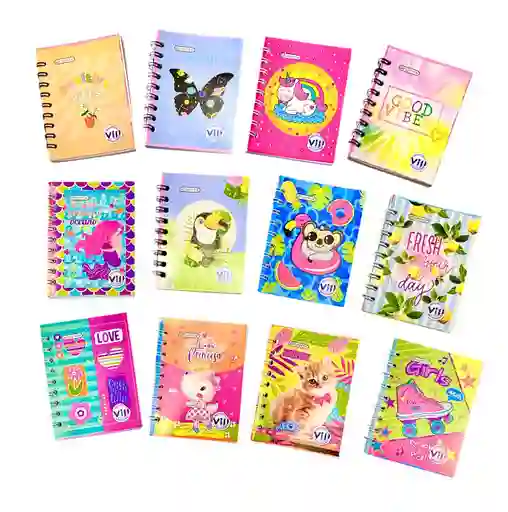 Cuaderno Mini Agenda Argollado Dama 70 Hojas Cuadriculadas Surtidas