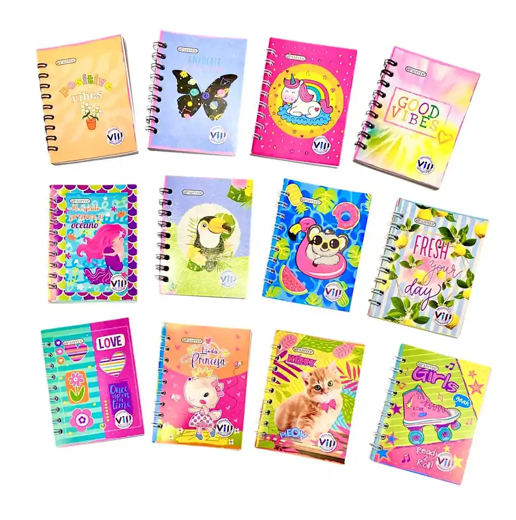 Cuaderno Mini Agenda Argollado Dama 70 Hojas Cuadriculadas Surtidas