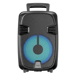 Cabina De Sonido Recargable 8 Pulgadas Bluetooth Fm Gts-2076 Negro
