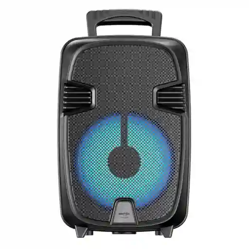 Cabina De Sonido Recargable 8 Pulgadas Bluetooth Fm Gts-2076 Negro