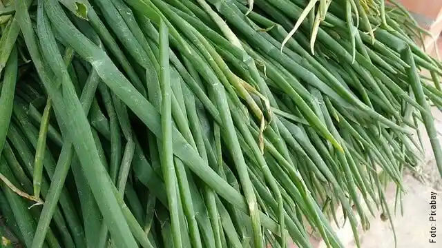 Cuarto Cebolla Larga