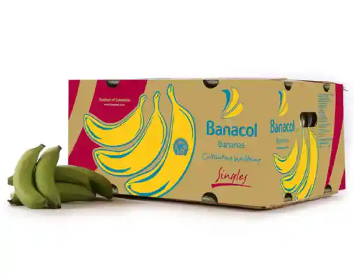 Banano Uraba Caja