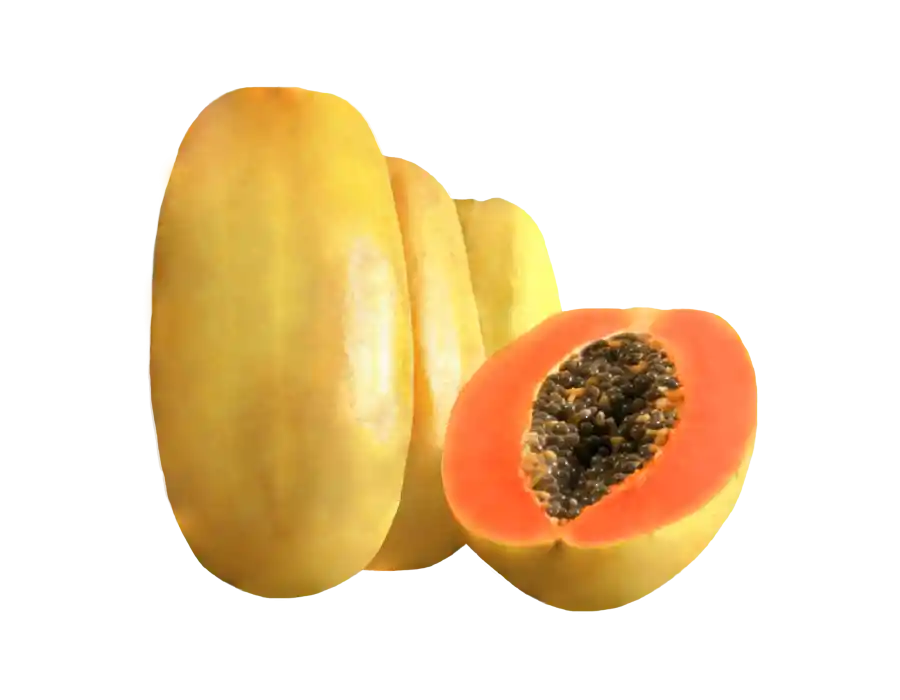 Papaya Brillante