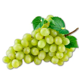 Uvas Verdes