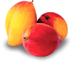 Mango Yulima