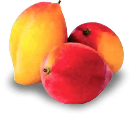 Mango Yulima