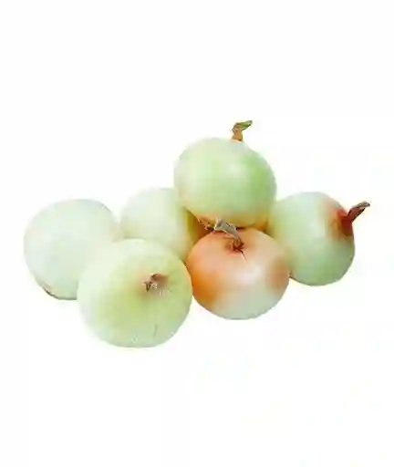 Cabezona Blanca