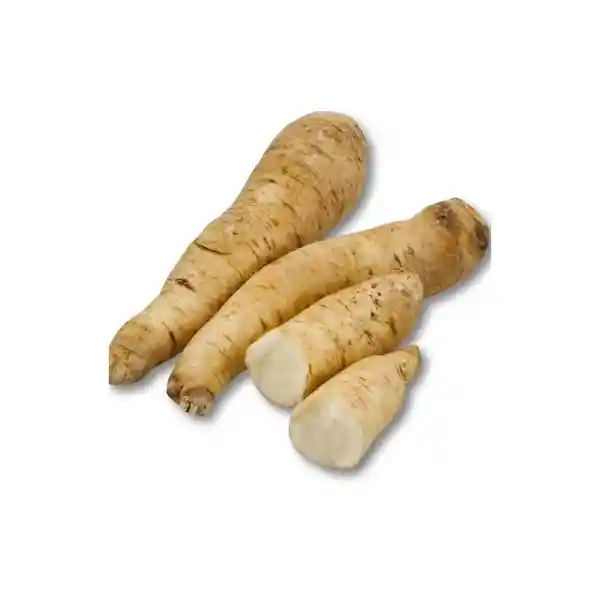 Arracacha