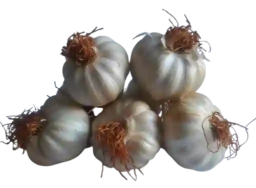 Ajos Criollo