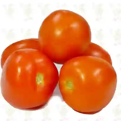 Tomate Chonto