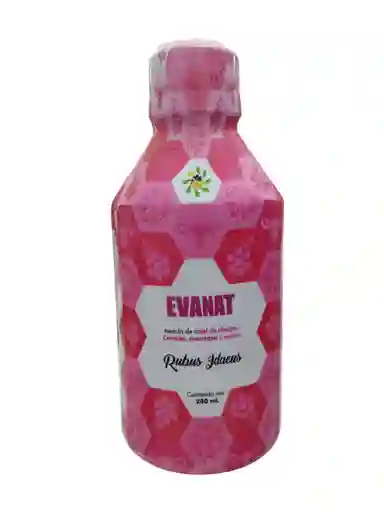 Evanat X 240 Ml Apifarma