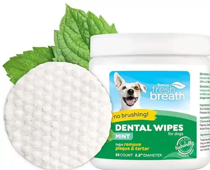 Dental Wipes