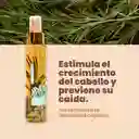 Potencializador Romero Anyeluz X110 Ml