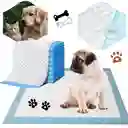 Tapete Absorbente Para Mascota Pqt X 25 (perro/gato)