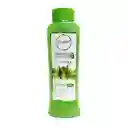 Shampoo Aloe Vera Anyeluz X500 Ml