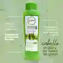 Shampoo Aloe Vera Anyeluz X500 Ml
