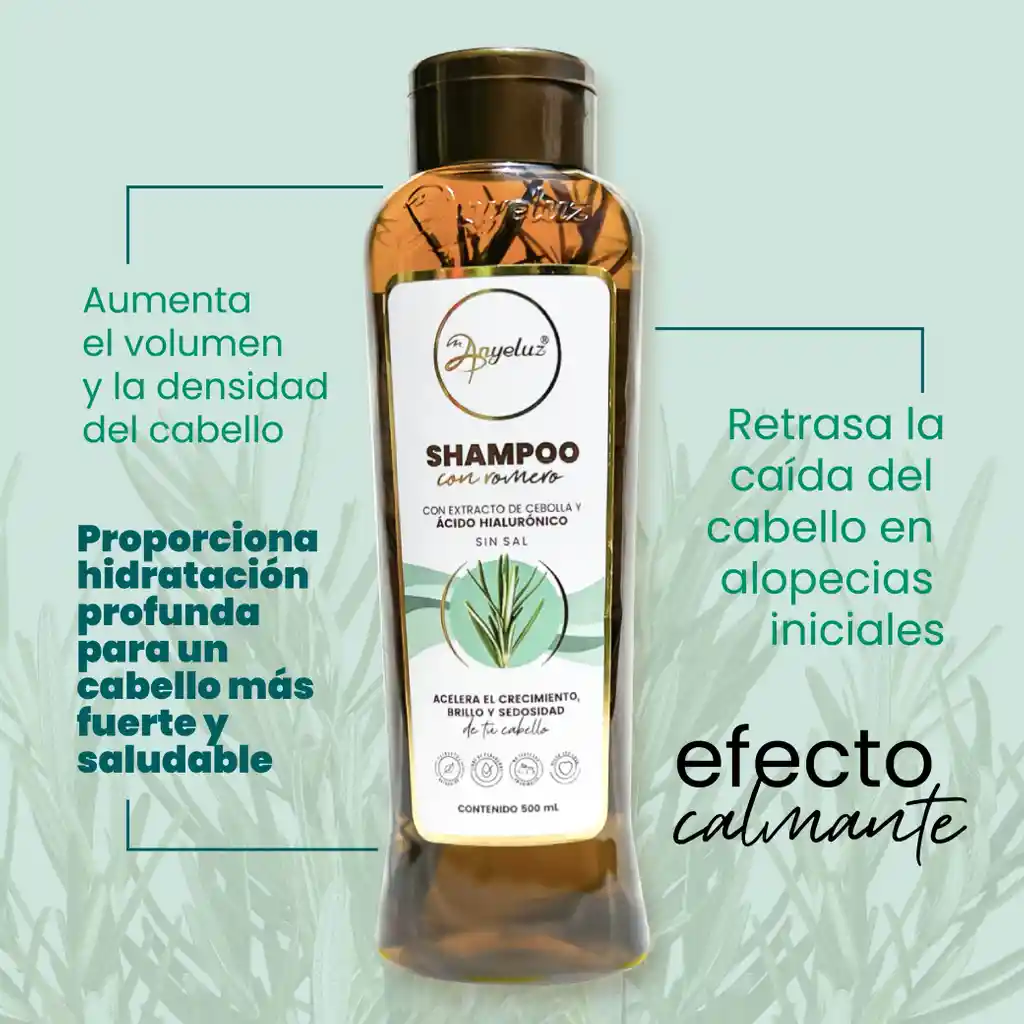 Shampoo Con Romero Anyeluz X500 Ml