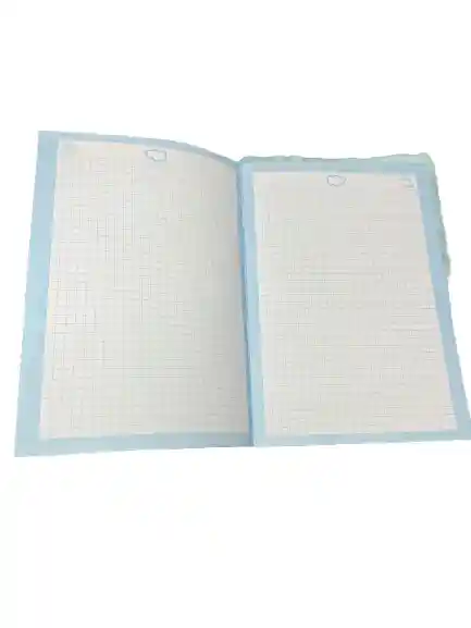 Agenda De Peluche De Stitch