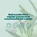 Acondicionador Con Romero Anyeluz X500 Ml