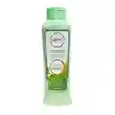 Acondicionador De Argán Y Aloe Vera Anyeluz X500 Ml