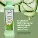 Acondicionador De Argán Y Aloe Vera Anyeluz X500 Ml
