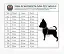 Chubasquero Impermeable Amarillo Forrado Para Perro