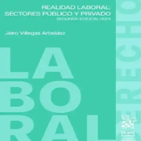 Realidad Laboral: Sectores Público Y Privado 2ª Edición 2024