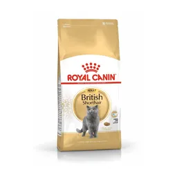 Alimento Para Gato Royal Canin Fbn British Shorthair