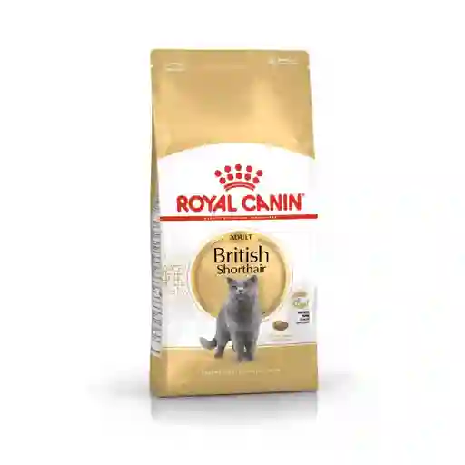 Alimento Para Gato Royal Canin Fbn British Shorthair