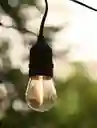 Bombillo Led De Filamento S14 1w Calido X 10