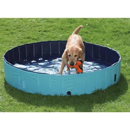 Piscina Para Perros Pawise Azul