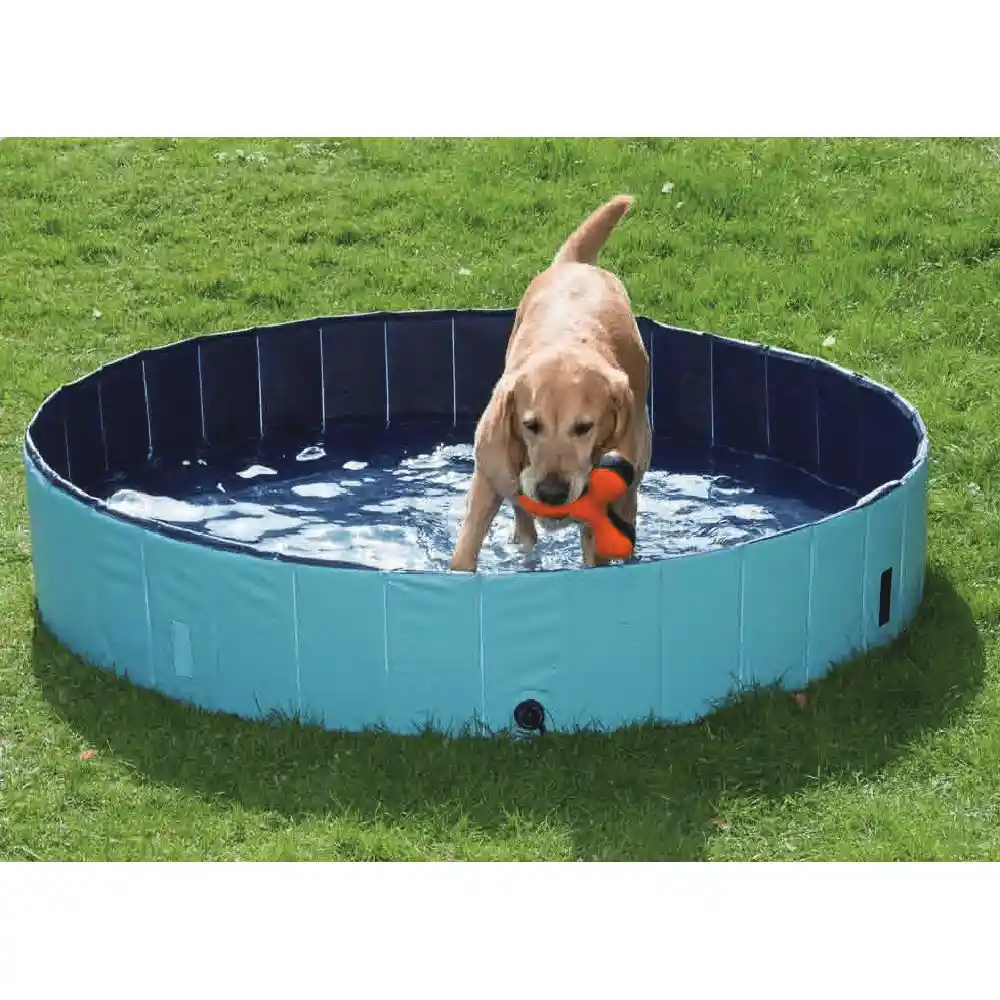 Piscina Para Perros Pawise Azul