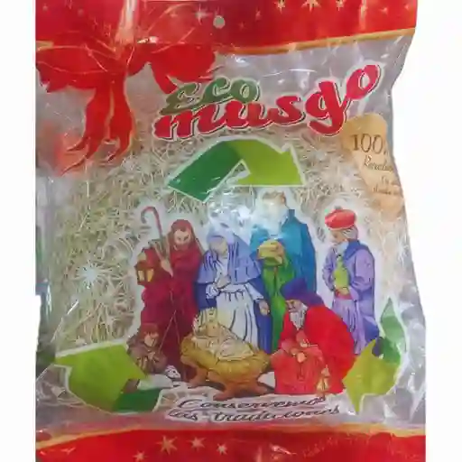 Musgo Sintetico Ecologico