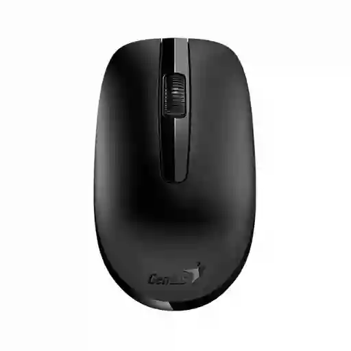 Genius Mouse Nx 7007 Inalámbrico Usb Negro